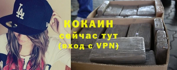 крисы Абаза