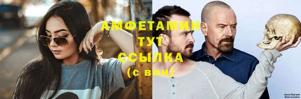 крисы Абаза