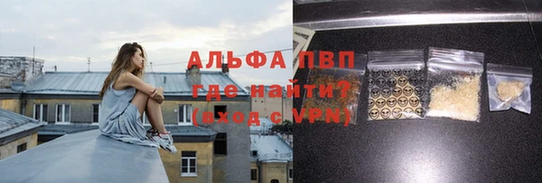 крисы Абаза