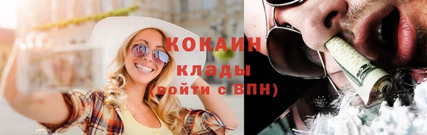крисы Абаза