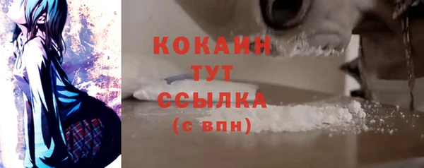 крисы Горняк