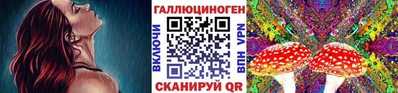 Псилоцибиновые грибы мицелий  наркота  Пыталово 